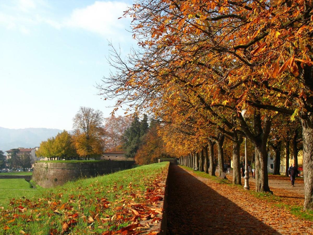 Villa Grespola Lucca Exteriér fotografie